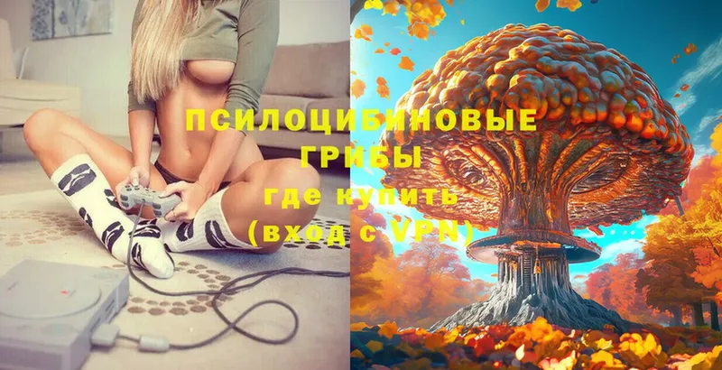 Галлюциногенные грибы MAGIC MUSHROOMS  Апшеронск 